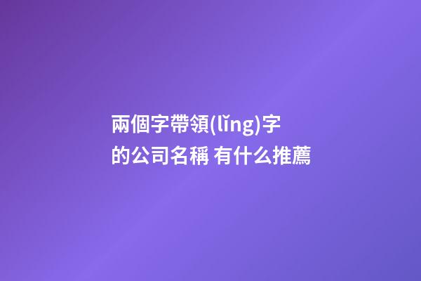 兩個字帶領(lǐng)字的公司名稱 有什么推薦-第1張-公司起名-玄機派